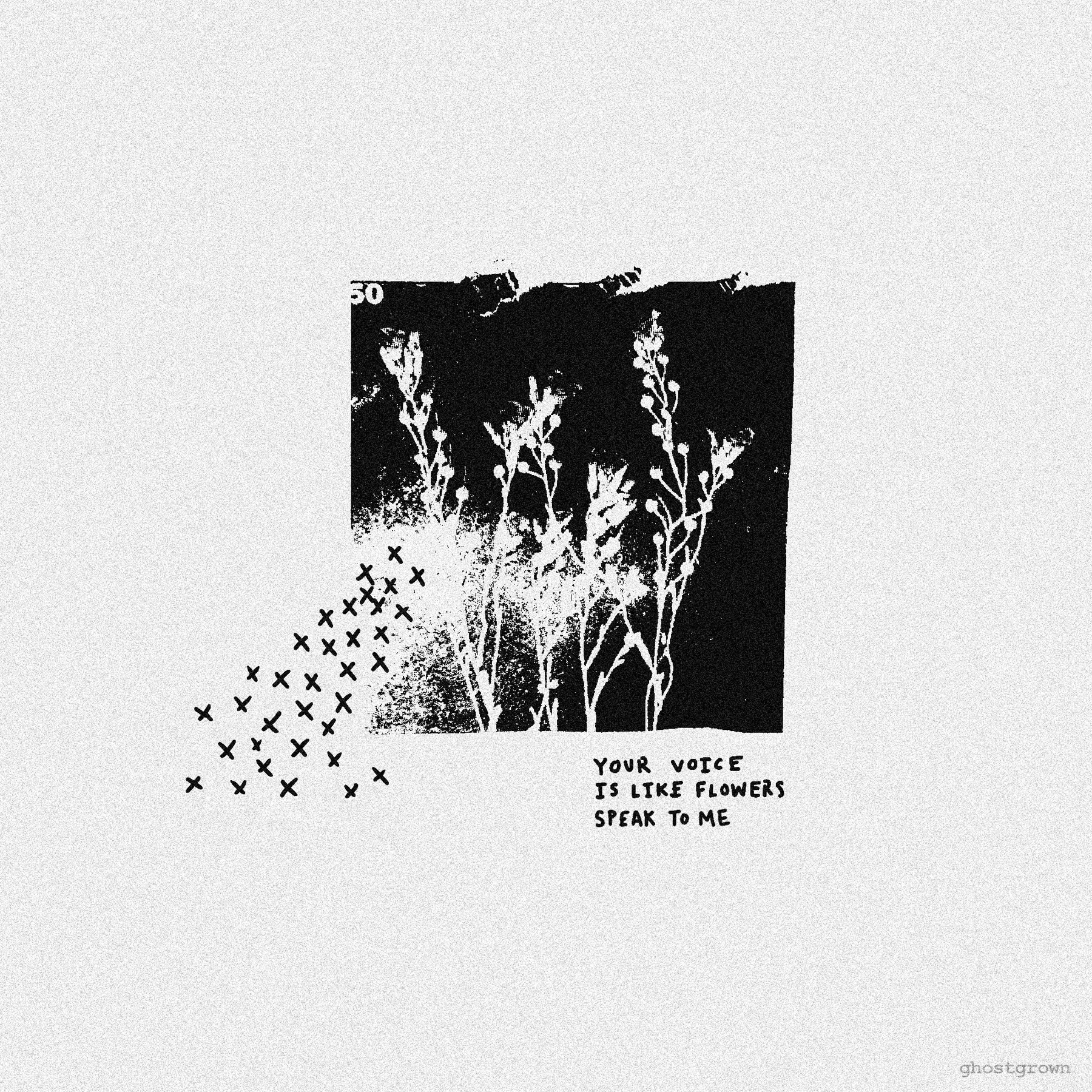 Voice Like Flowers